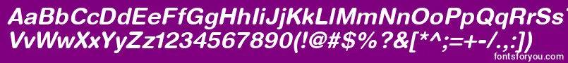 HelveticaRoundedLtBoldOblique Font – White Fonts on Purple Background