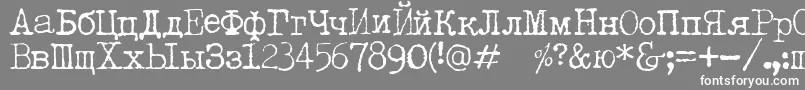 LetteratrentadueTranslit Font – White Fonts on Gray Background