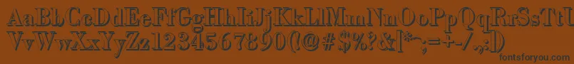 BodonishadowMediumRegular Font – Black Fonts on Brown Background