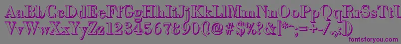 BodonishadowMediumRegular Font – Purple Fonts on Gray Background