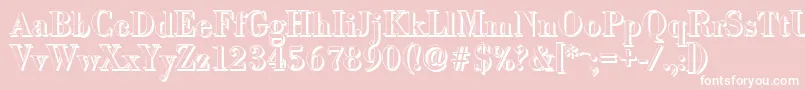 BodonishadowMediumRegular Font – White Fonts on Pink Background