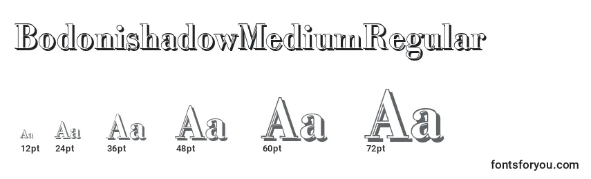 Размеры шрифта BodonishadowMediumRegular