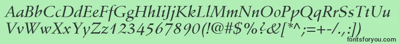 StempelSchneidlerLtMediumItalic Font – Black Fonts on Green Background