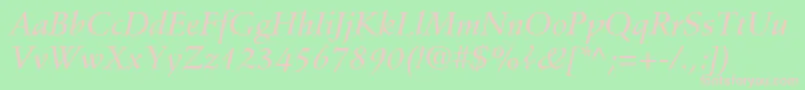 StempelSchneidlerLtMediumItalic Font – Pink Fonts on Green Background