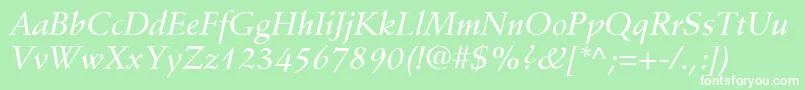 StempelSchneidlerLtMediumItalic Font – White Fonts on Green Background