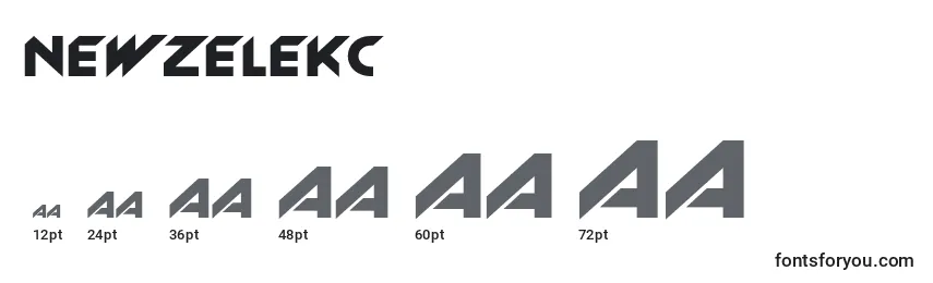 Newzelekc Font Sizes