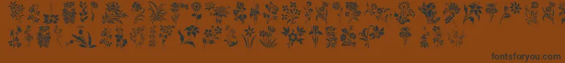 HffFloralStencil Font – Black Fonts on Brown Background