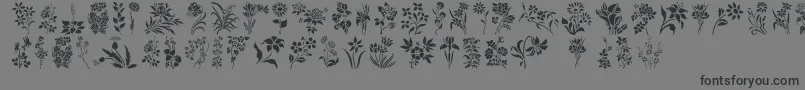 Fonte HffFloralStencil – fontes pretas em um fundo cinza