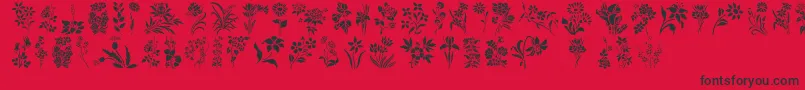 HffFloralStencil Font – Black Fonts on Red Background