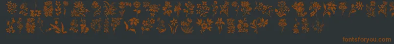 fuente HffFloralStencil – Fuentes Marrones Sobre Fondo Negro