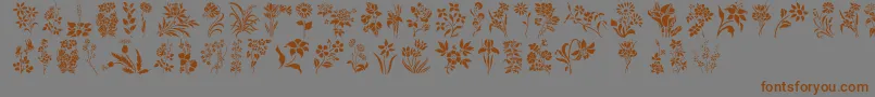Weitere Informationen zur HffFloralStencil-Schriftart HffFloralStencil-Schriftart – Braune Schriften auf grauem Hintergrund