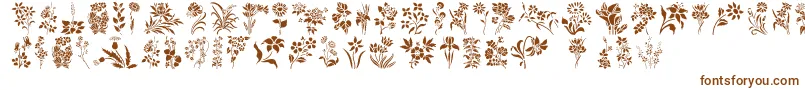 Czcionka HffFloralStencil – brązowe czcionki