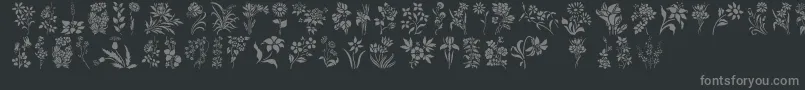 Шрифт HffFloralStencil – серые шрифты на чёрном фоне
