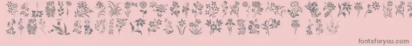 Police HffFloralStencil – polices grises sur fond rose