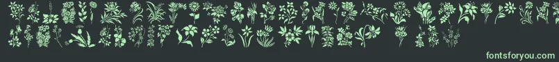 Шрифт HffFloralStencil – зелёные шрифты на чёрном фоне