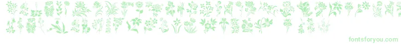 Fonte HffFloralStencil – fontes verdes em um fundo branco