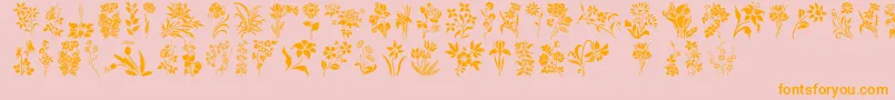 Шрифт HffFloralStencil – оранжевые шрифты на розовом фоне