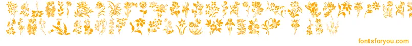 Police HffFloralStencil – polices orange