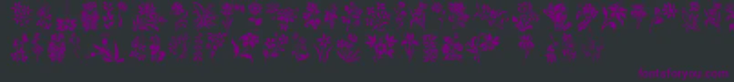 フォントHffFloralStencil – 黒い背景に紫のフォント