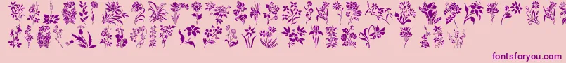 Fonte HffFloralStencil – fontes roxas em um fundo rosa
