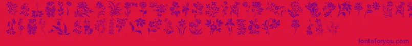 Czcionka HffFloralStencil – fioletowe czcionki na czerwonym tle