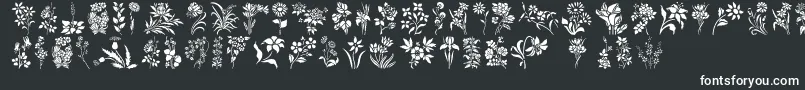 フォントHffFloralStencil – 白い文字