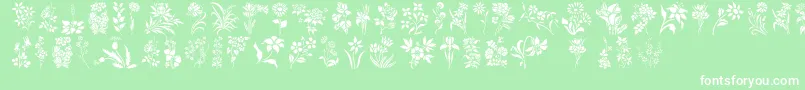 Fonte HffFloralStencil – fontes brancas em um fundo verde