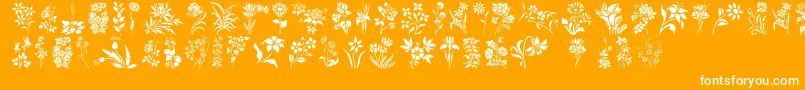 fuente HffFloralStencil – Fuentes Blancas Sobre Fondo Naranja