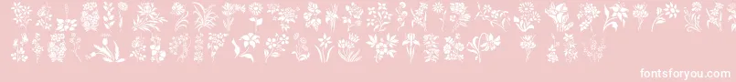 Czcionka HffFloralStencil – białe czcionki na różowym tle