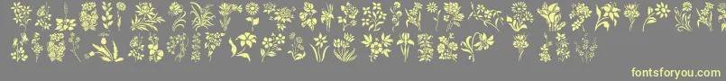 HffFloralStencil-fontti – keltaiset fontit harmaalla taustalla