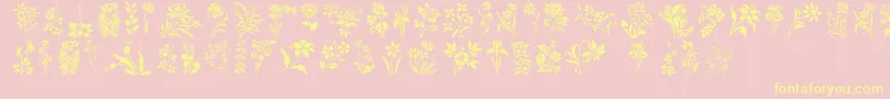 HffFloralStencil-Schriftart – Gelbe Schriften auf rosa Hintergrund