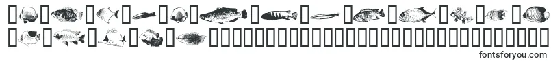Шрифт Fishpoa ffy – шрифты для Microsoft Office