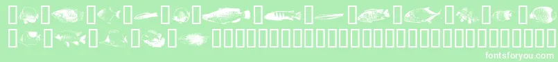 フォントFishpoa ffy – 緑の背景に白い文字