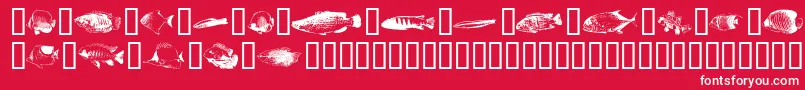 Fishpoa ffy-Schriftart – Weiße Schriften auf rotem Hintergrund