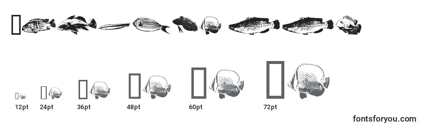 Размеры шрифта Fishpoa ffy