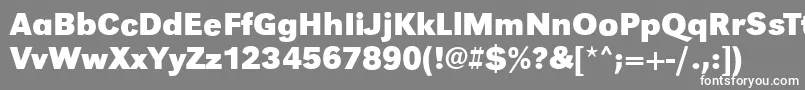 Шрифт GroteskstdBoldRegular – белые шрифты на сером фоне