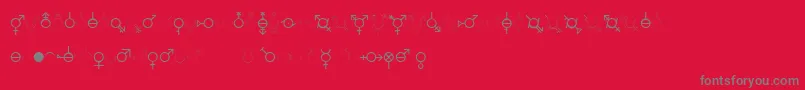 Czcionka GenderDorama – szare czcionki na czerwonym tle