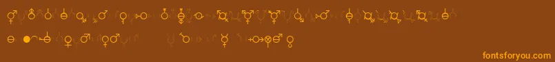 Weitere Informationen zur GenderDorama-Schriftart GenderDorama-Schriftart – Orangefarbene Schriften auf braunem Hintergrund