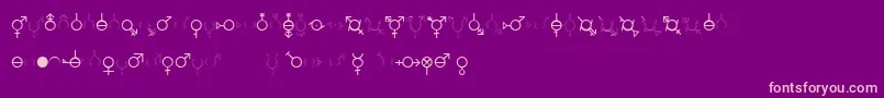 GenderDorama Font – Pink Fonts on Purple Background