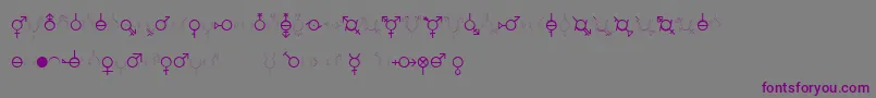 GenderDorama Font – Purple Fonts on Gray Background