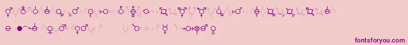 GenderDorama Font – Purple Fonts on Pink Background