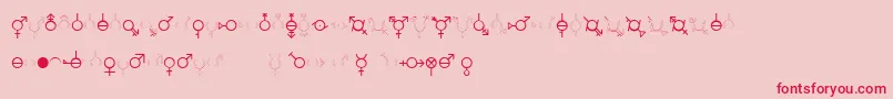 GenderDorama Font – Red Fonts on Pink Background