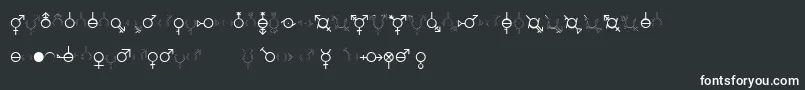 フォントGenderDorama – 白い文字