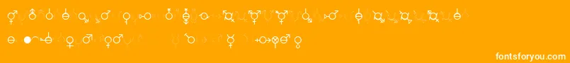 fuente GenderDorama – Fuentes Blancas Sobre Fondo Naranja