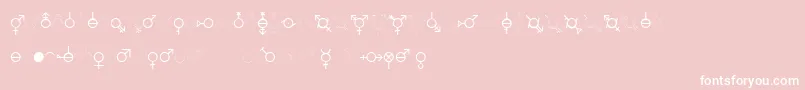 GenderDorama Font – White Fonts on Pink Background