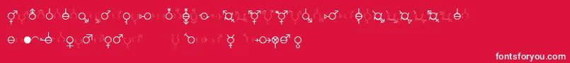 GenderDorama Font – White Fonts on Red Background