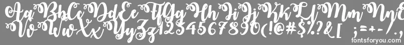 OctoberTwilightTtf Font – White Fonts on Gray Background