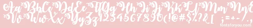 OctoberTwilightTtf Font – White Fonts on Pink Background