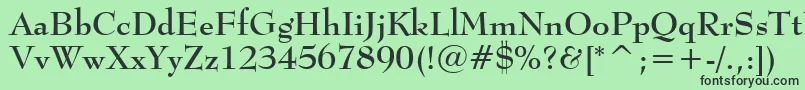 BernhardmodBtBold Font – Black Fonts on Green Background