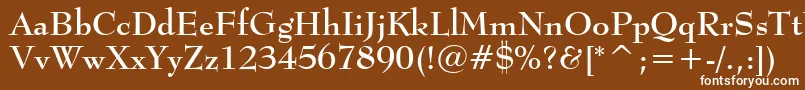 フォントBernhardmodBtBold – 茶色の背景に白い文字